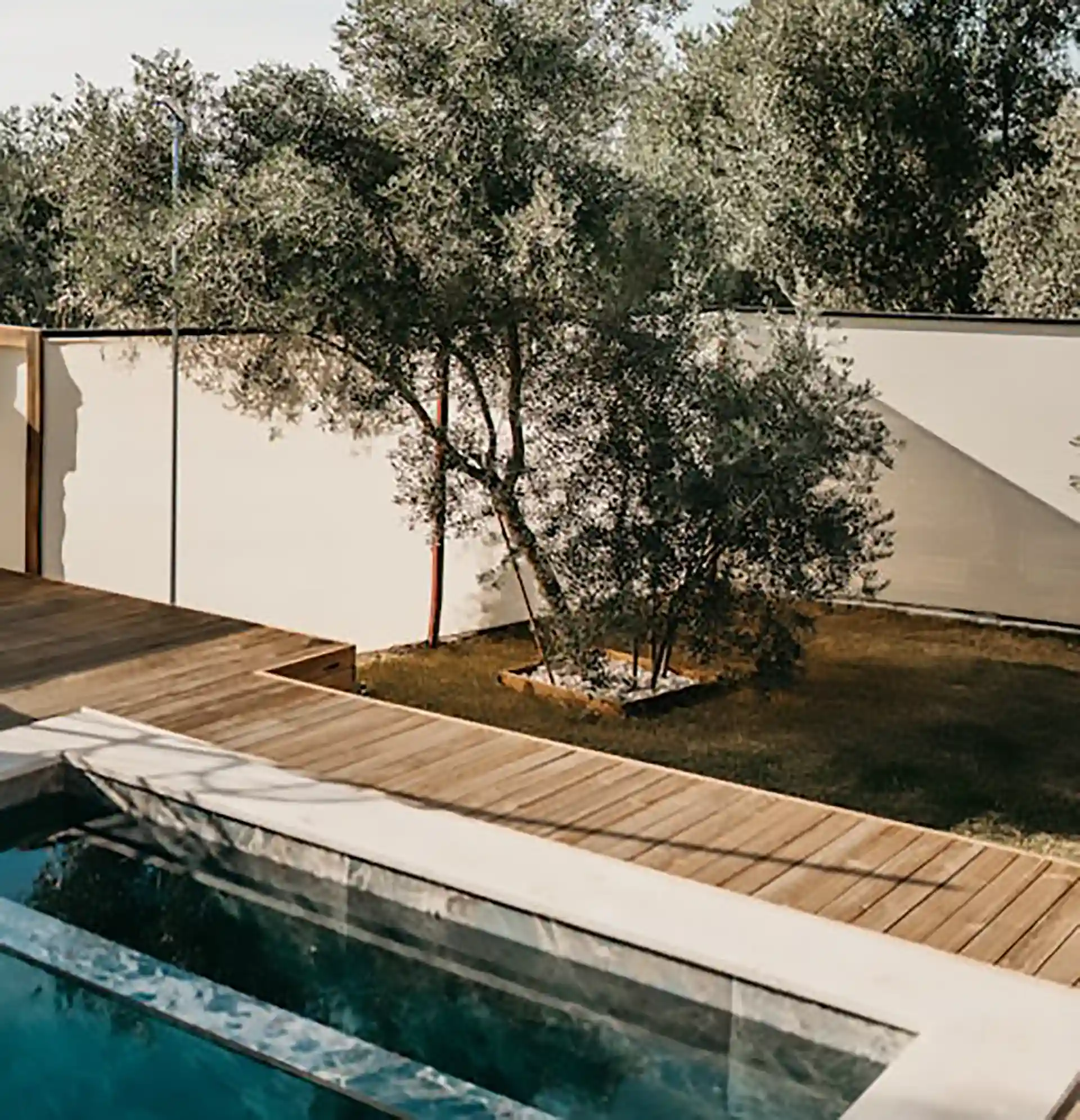 A modern poolside with wooden decking, featuring trees and a wall in the background under a clear sky.